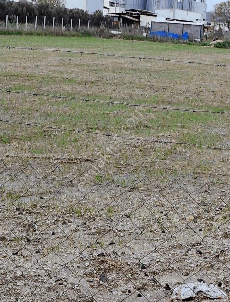 Foça Gerenköyde 5700 M2 Tek Tapu Arazim Acil Satılıktır - Görsel 19