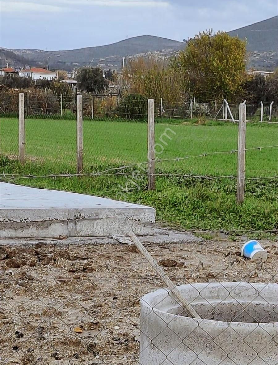 Foça Gerenköyde 5700 M2 Tek Tapu Arazim Acil Satılıktır - Görsel 2