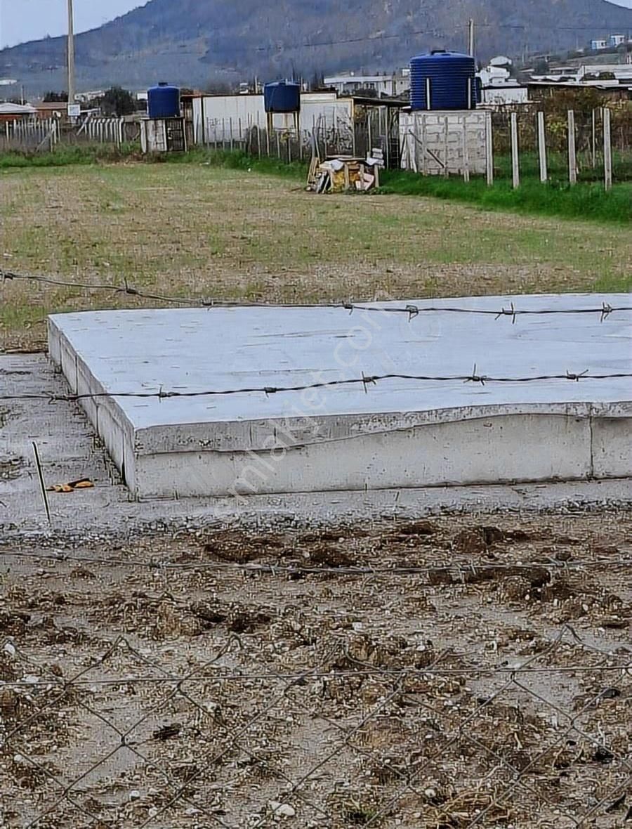 Foça Gerenköyde 5700 M2 Tek Tapu Arazim Acil Satılıktır - Görsel 4