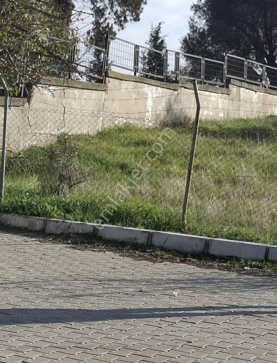 Foça Yeniköyde 2533 M2 Tek Tapu Zeytinlik Acil Satılık - Görsel 33