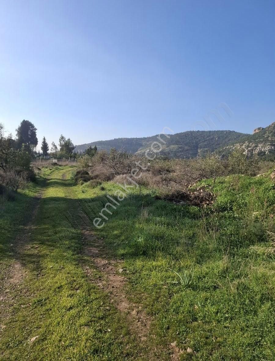 Foça Yeniköyde 2533 M2 Tek Tapu Zeytinlik Acil Satılık - Görsel 20