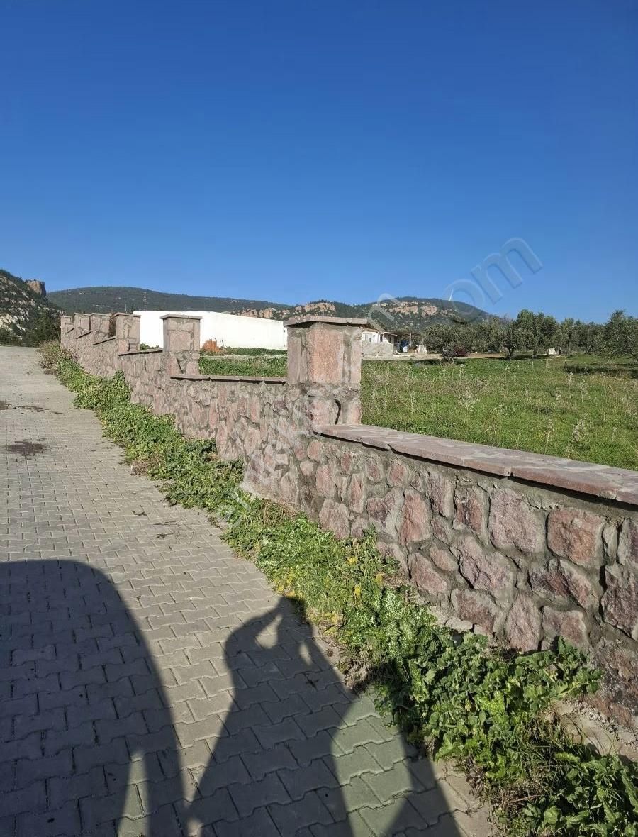 Foça Yeniköyde 2533 M2 Tek Tapu Zeytinlik Acil Satılık - Görsel 23