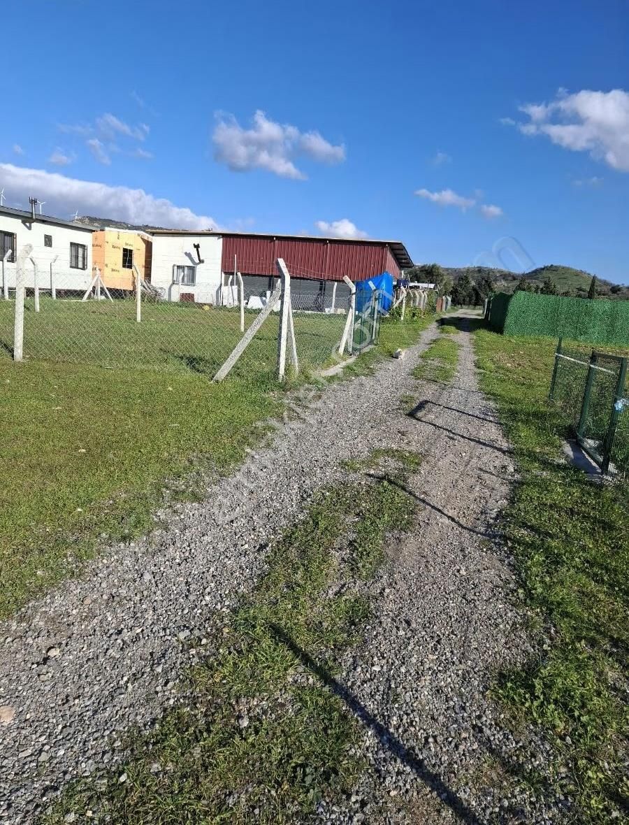 Foça Yeni Foça Fevzi Çakmakta 215 M2 Bahçe Acil Satılıktır - Görsel 32