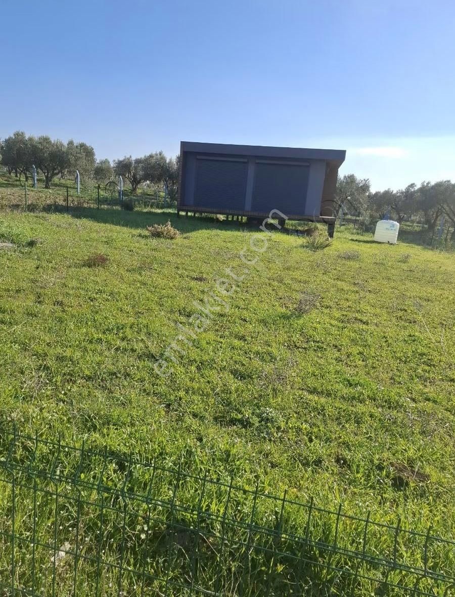 Foça Yeni Foça Fevzi Çakmakta 215 M2 Bahçe Acil Satılıktır - Görsel 12