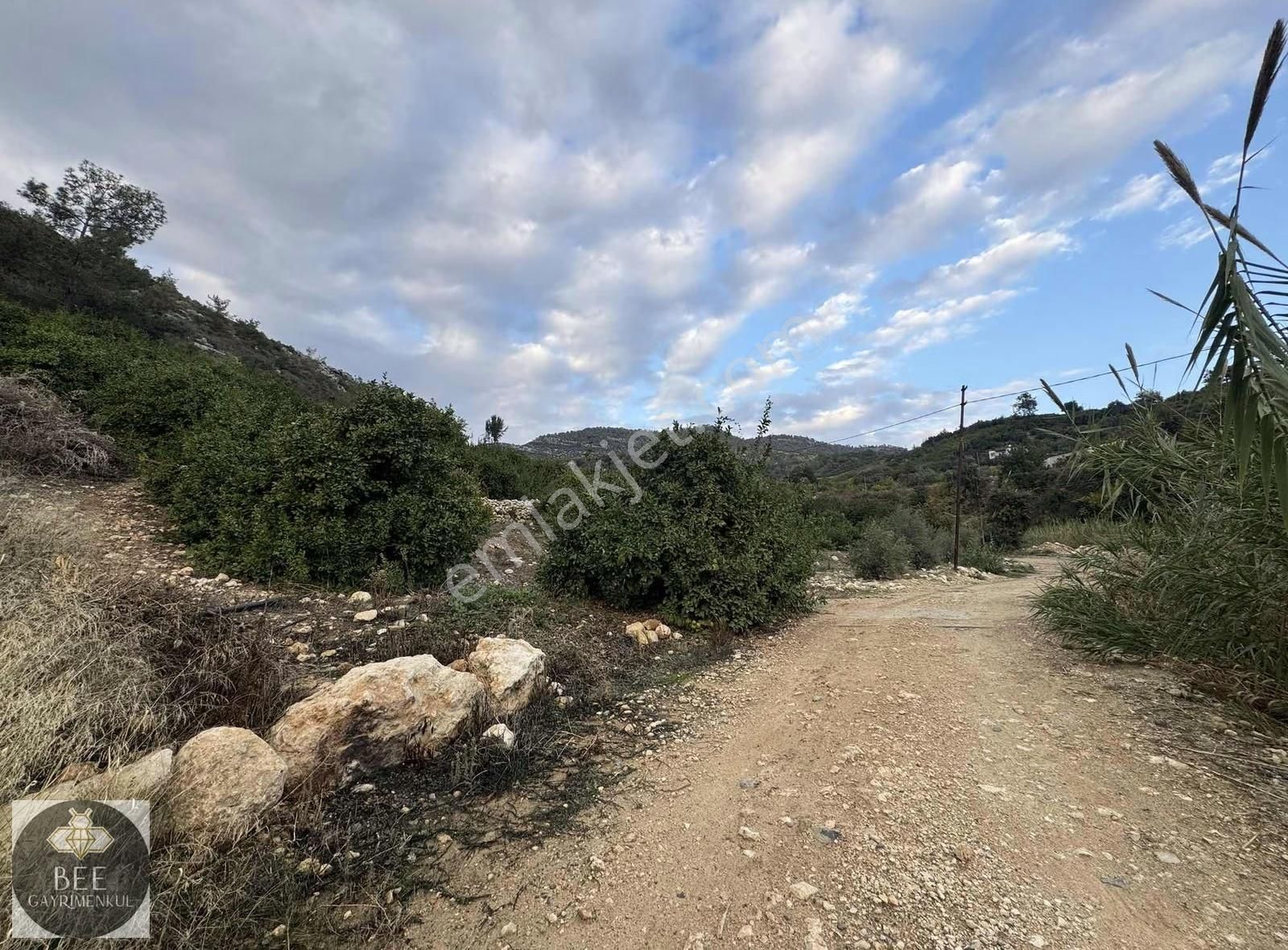 Bee Gayrimenkulden Doğlu Köyünde Köy İçi İmarlı Teceye 5 Dk!