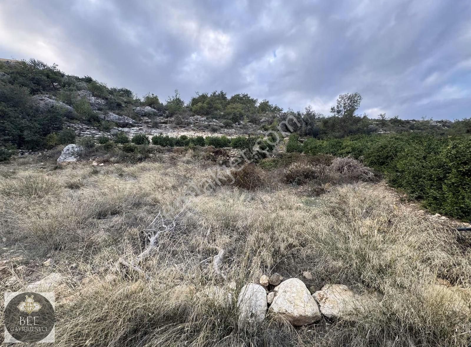 Bee Gayrimenkulden Doğlu Köyünde Köy İçi İmarlı Teceye 5 Dk! - Görsel 3