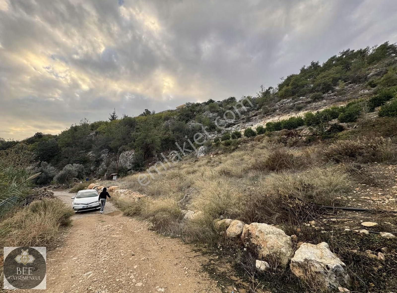 Bee Gayrimenkulden Doğlu Köyünde Köy İçi İmarlı Teceye 5 Dk! - Görsel 4