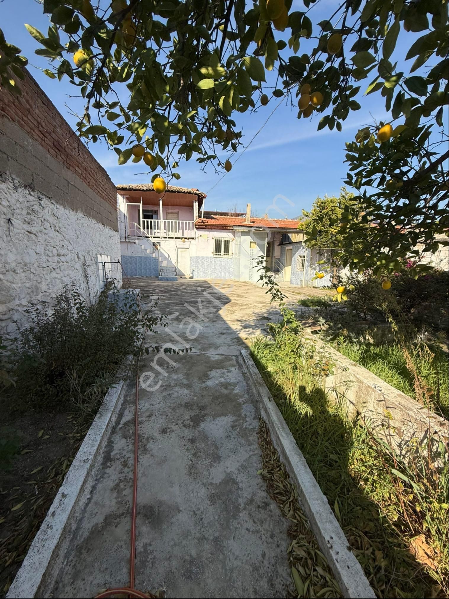 Geniş Müstakil Arayana