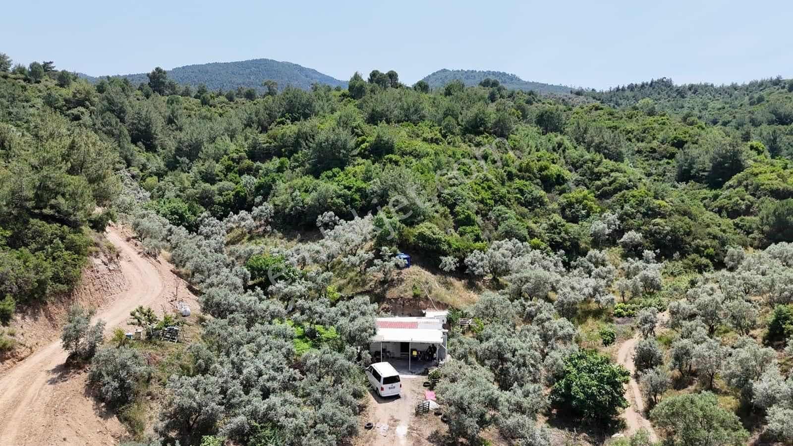 Novas Gayrimenkul'den Armutlu'da Satılık Tek Tapu Arazi - Görsel 18