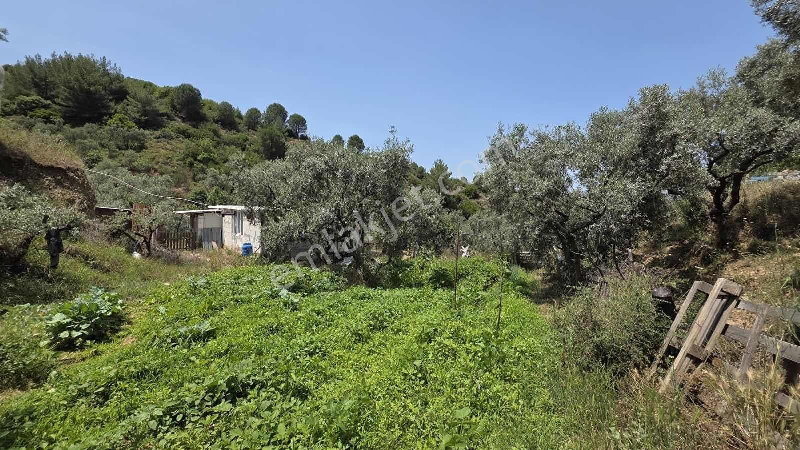 Novas Gayrimenkul'den Armutlu'da Satılık Tek Tapu Arazi - Görsel 32