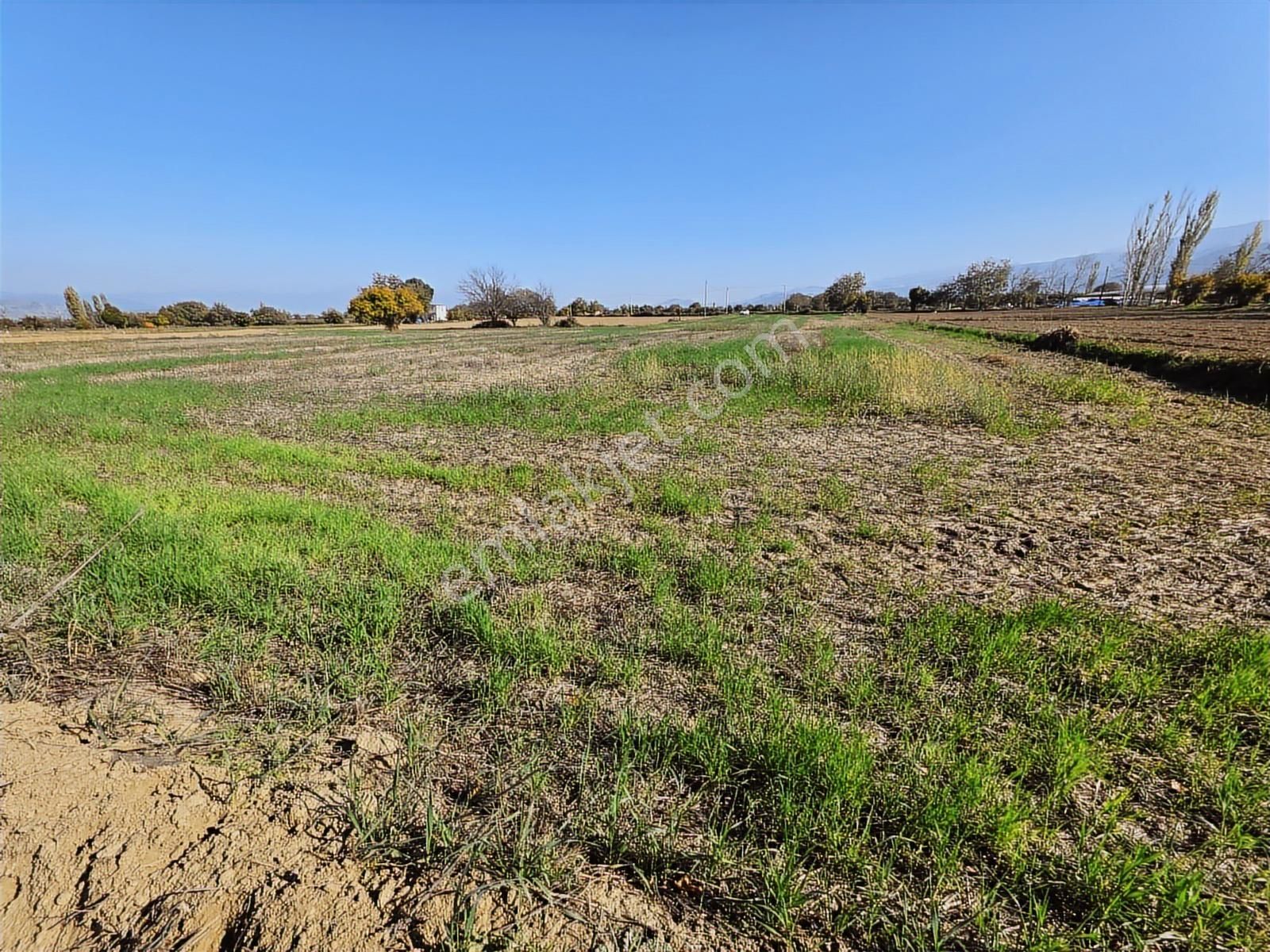 Ali Akdoğan Emlak Ofisinden Acil Satılıktır - Görsel 8