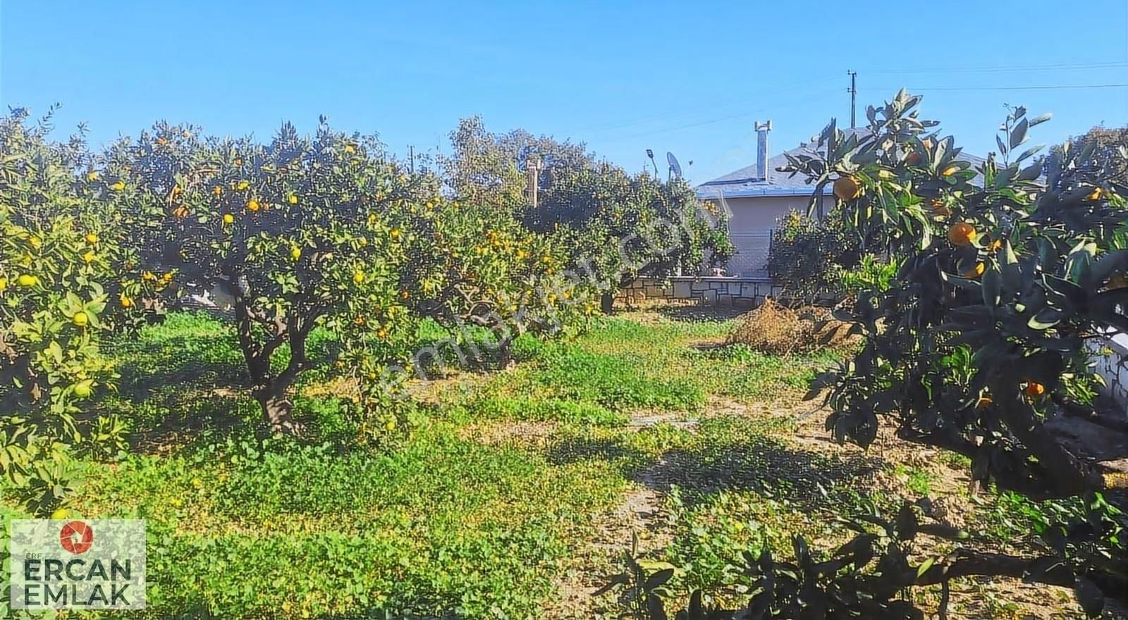 Özdere Ercan Emlak'tan Satılık Hisseli Bahçe - Görsel 21
