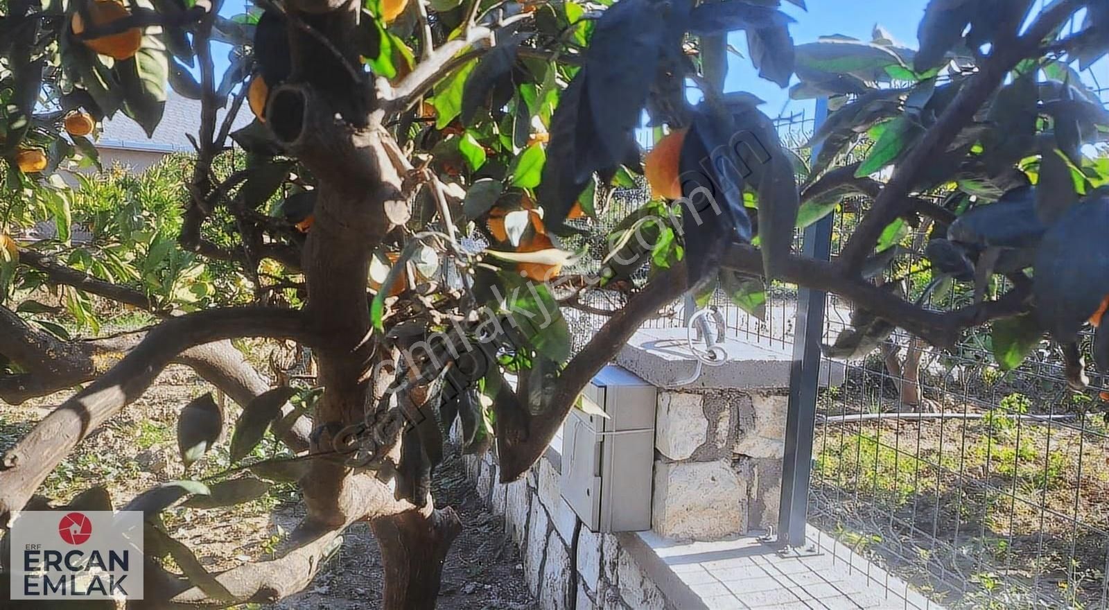 Özdere Ercan Emlak'tan Satılık Hisseli Bahçe - Görsel 20