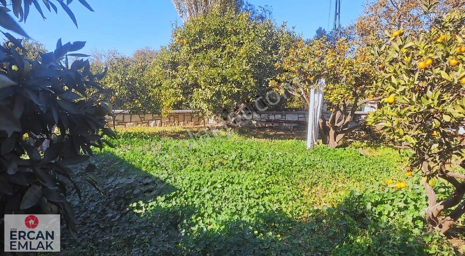 Özdere Ercan Emlak'tan Satılık Hisseli Bahçe - Görsel 22