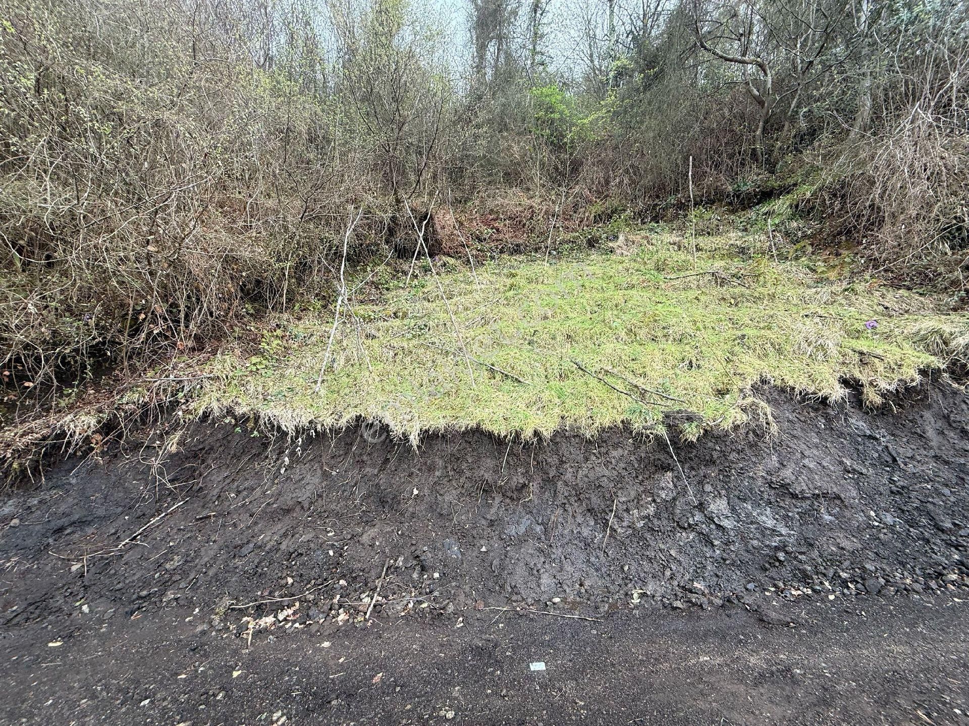 Acil Satılık Deniz Manzaralı