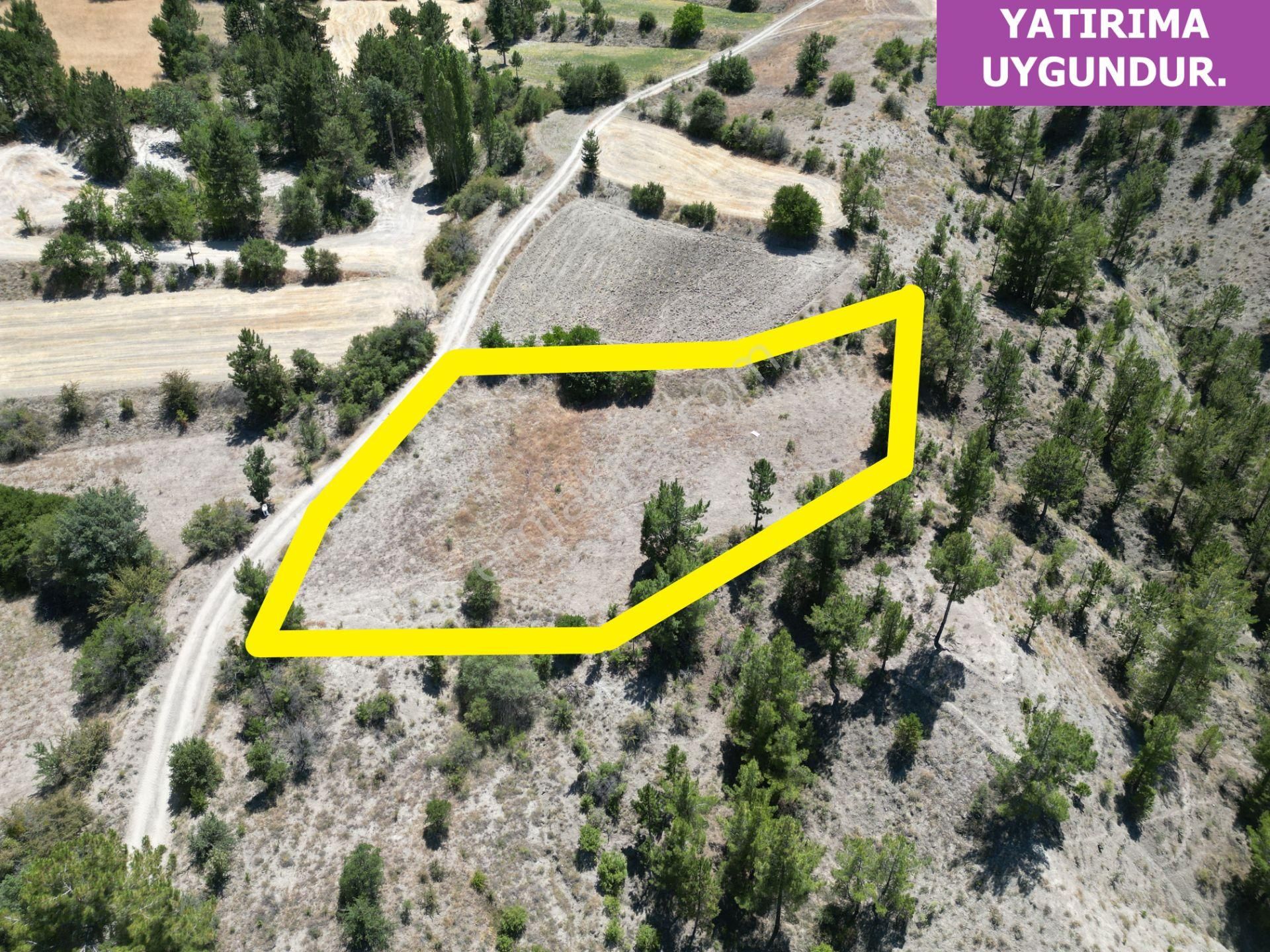🦋lobby Fortis'ten Satılık Çameli Güzelyurt'ta 1756 M² Fırsat Arazi🦋 - Görsel 5