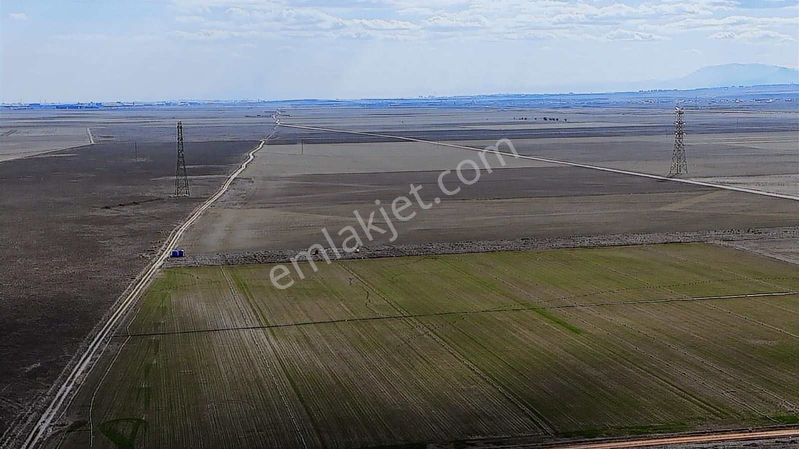 Fırsat Yatırım Selçuklu/sarıcalar 250 M2 Tarla - Görsel 8