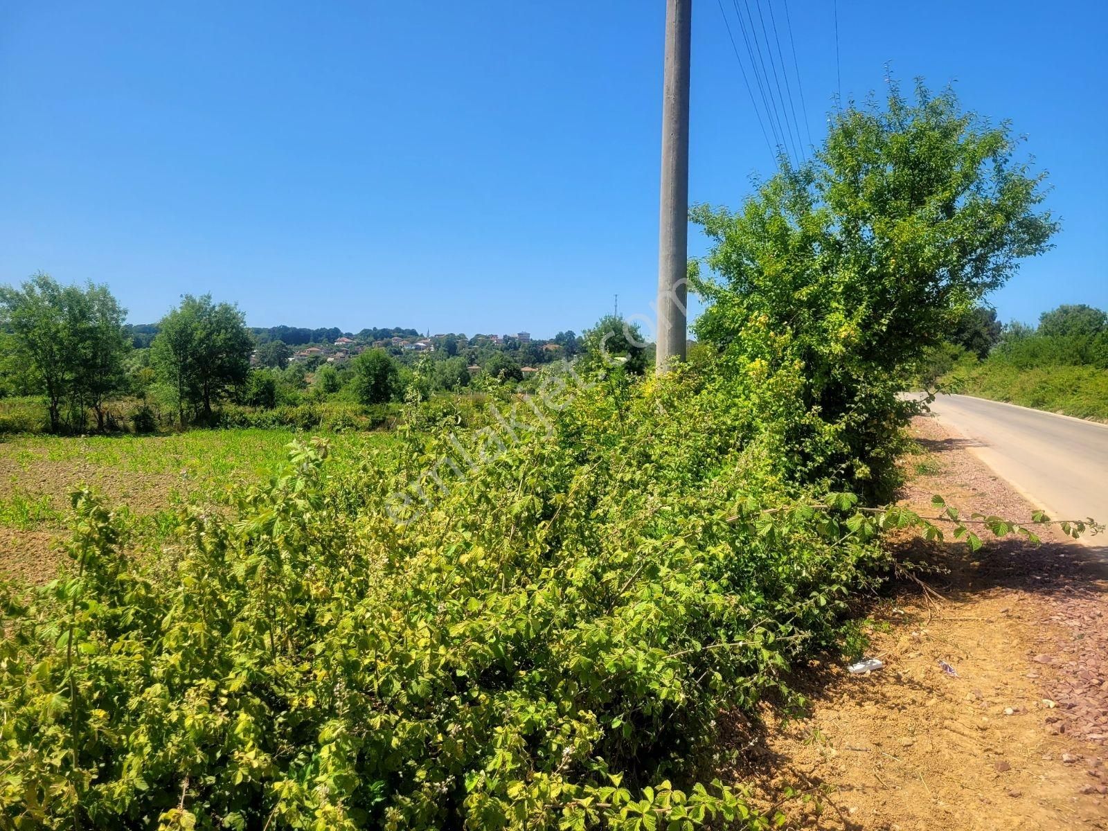 Turizm Bölgesinde Aldın Aldın Sonra Tüühh Dememek İçin .. - Görsel 5