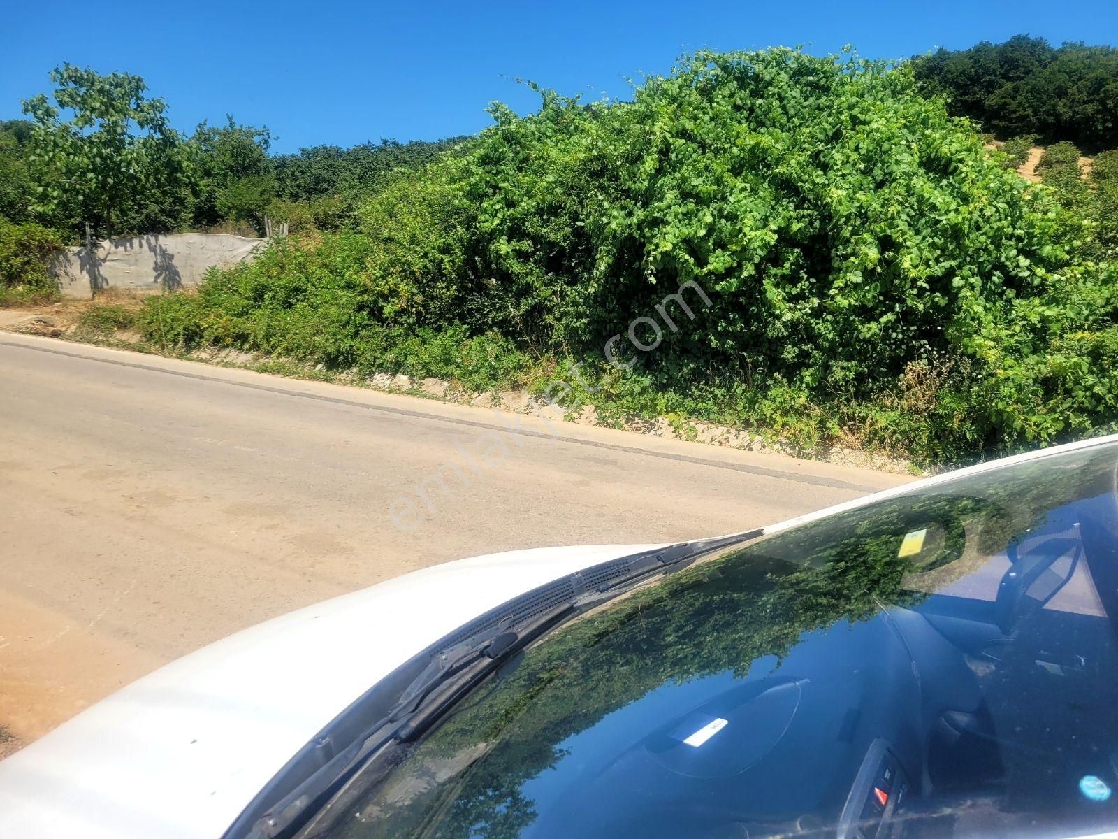 Turizm Bölgesinde Aldın Aldın Sonra Tüühh Dememek İçin .. - Görsel 12