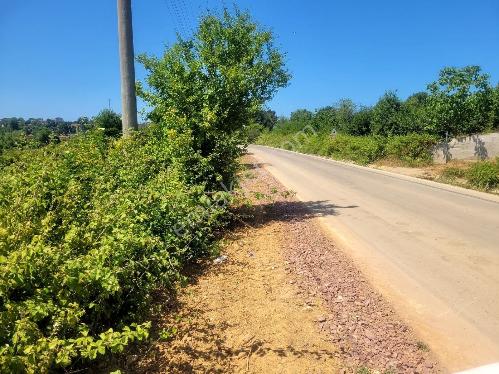 Turizm Bölgesinde Aldın Aldın Sonra Tüühh Dememek İçin .. - Görsel 13