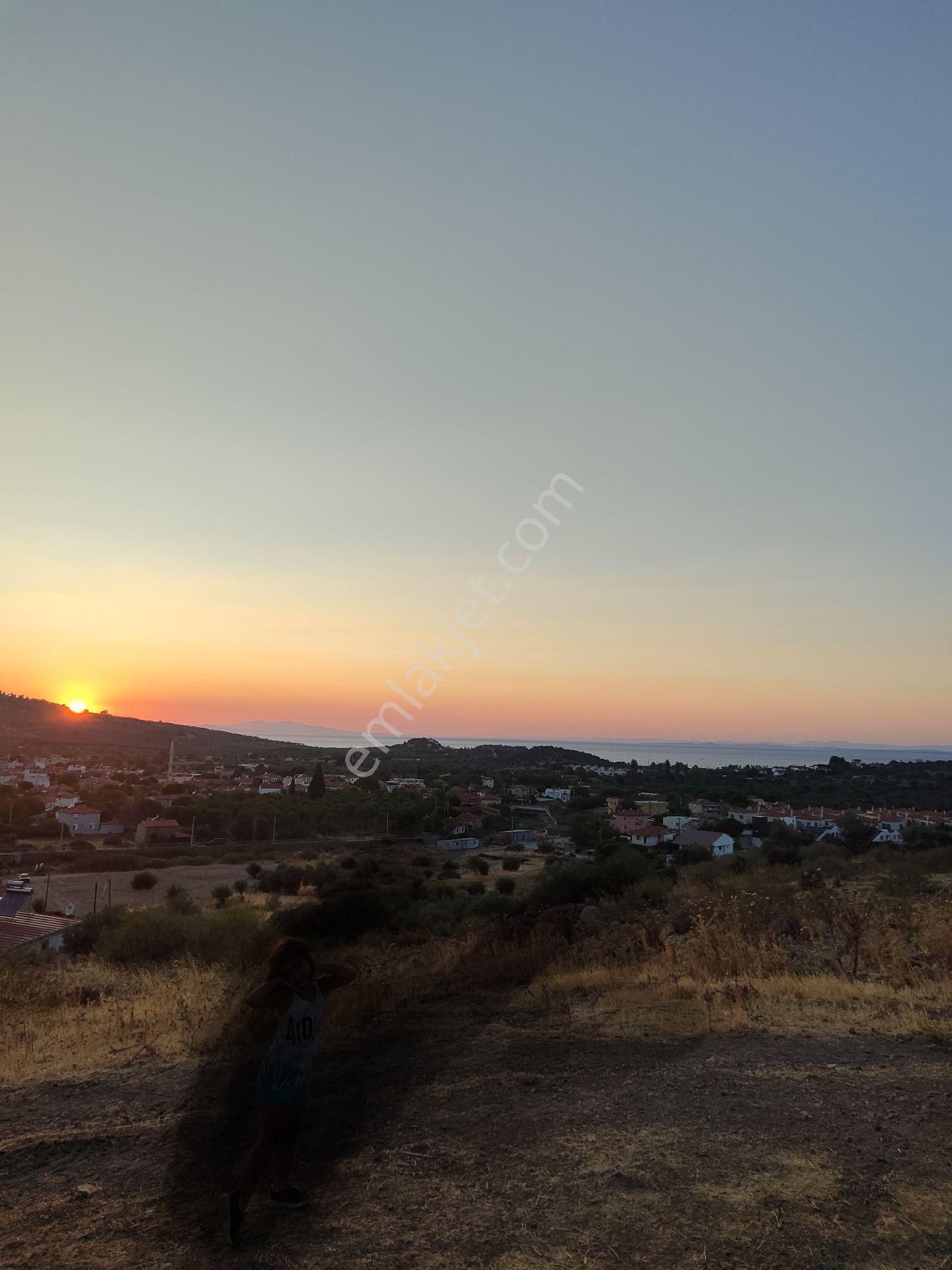 Bademli De Deniz Manzaralı