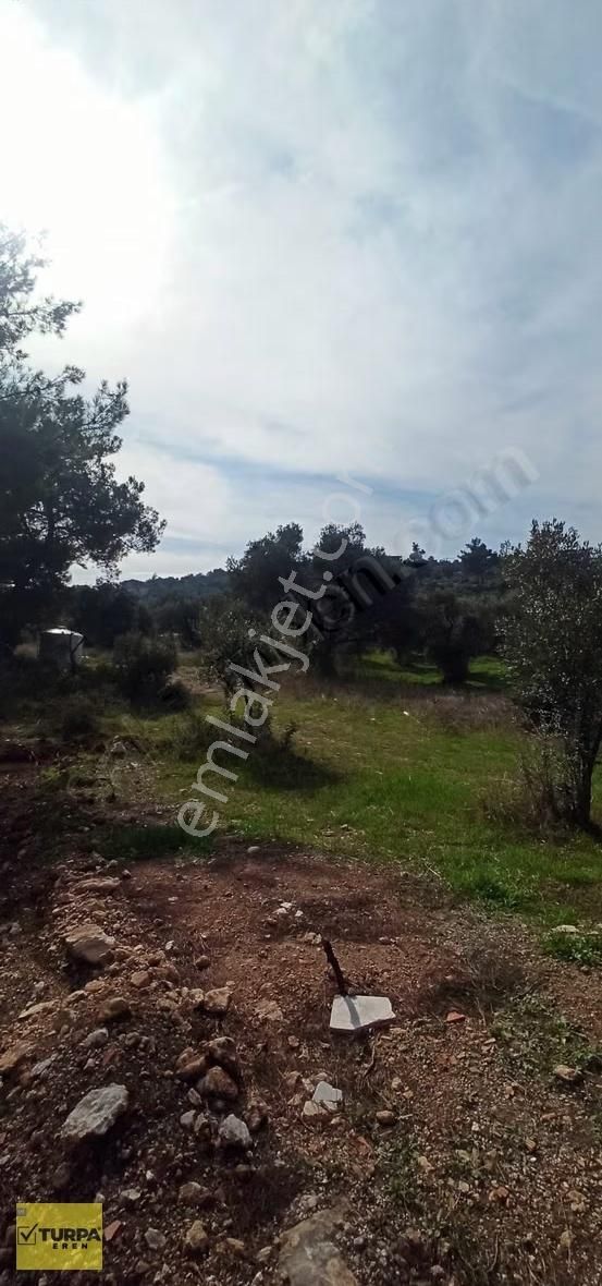 ️ Torbalı Çapak Mahallesinde Müstakil Tapulu, Manzaralı 1371 M - Görsel 3