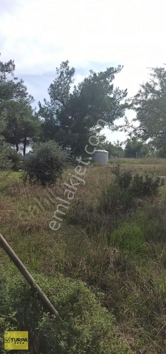 ️ Torbalı Çapak Mahallesinde Müstakil Tapulu, Manzaralı 1371 M - Görsel 5