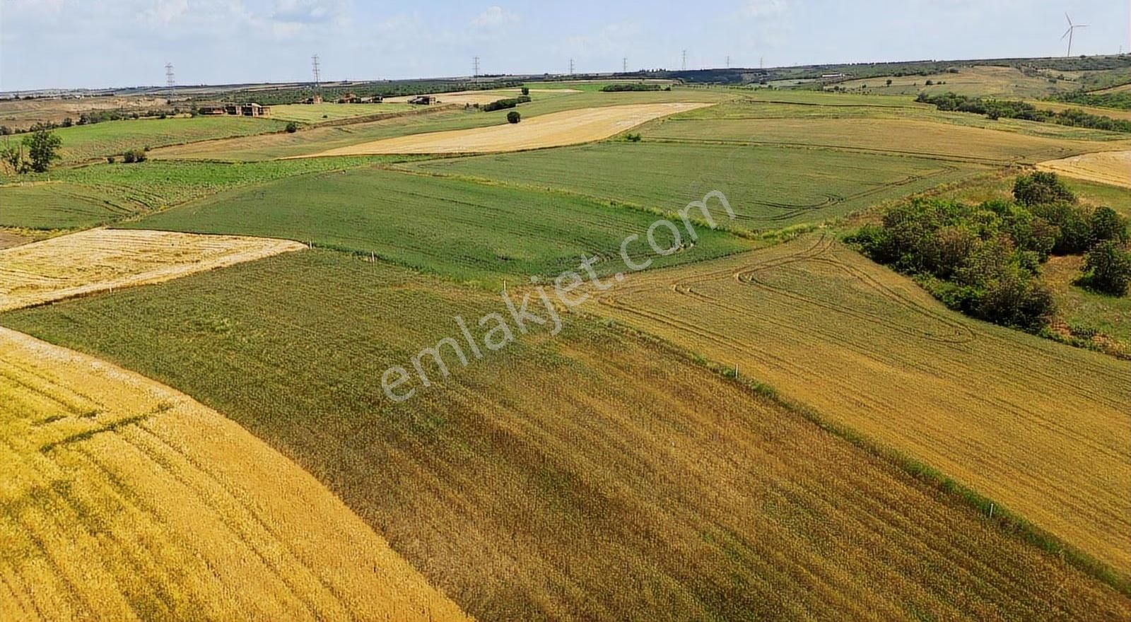 Silivri Değirmenköyde 423m2 Tarla Kelepir Fiyatına Satılık!!! - Görsel 13