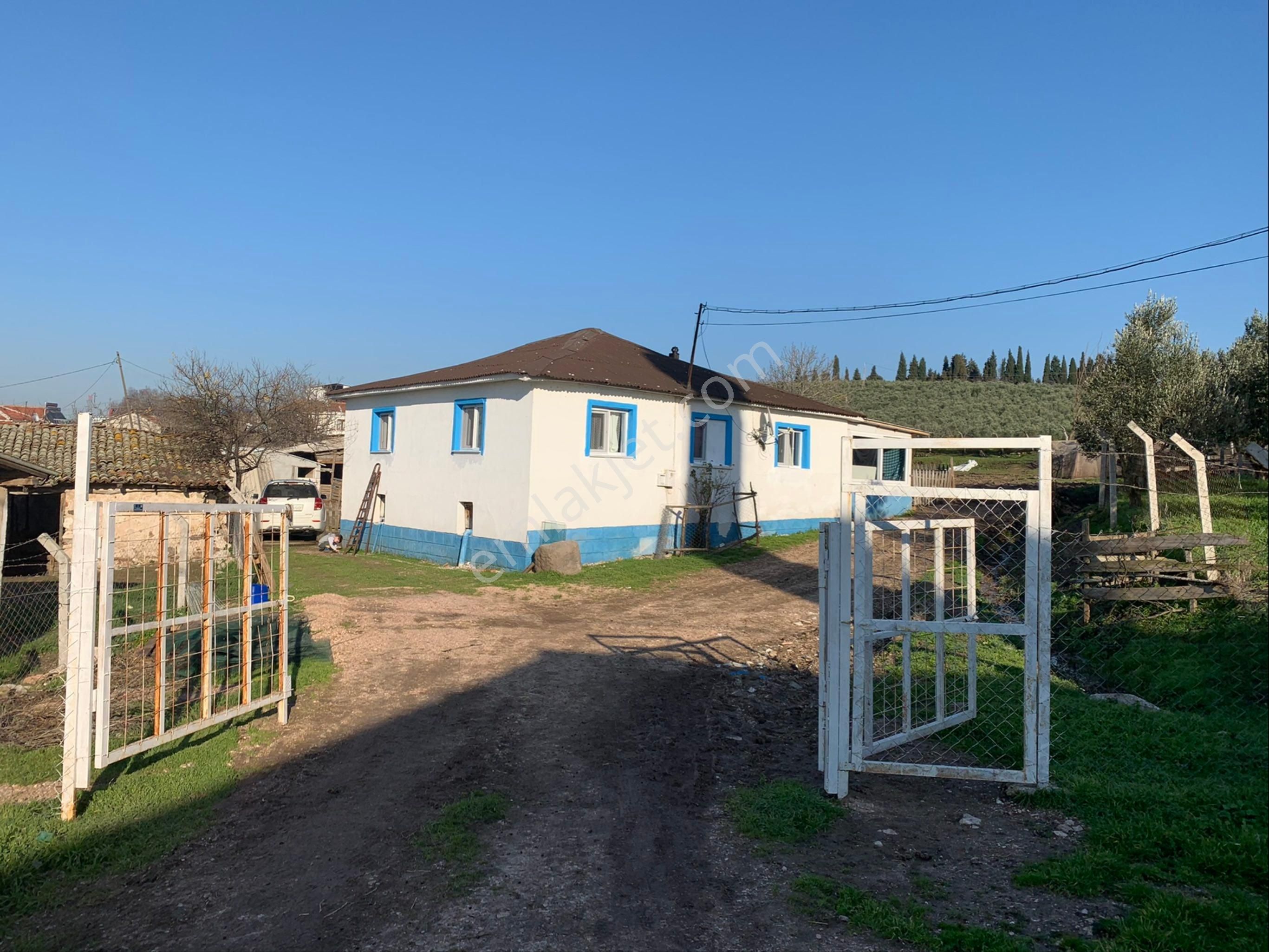 Bandırma Bezirci 3dönüm Çiftlik Arsa Tapulu Marmara Osb Yanı - Görsel 13