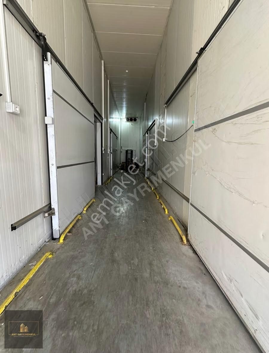 Altınovada 380m2 Kiralık -18 +4 Soğuk Hava Deposu - Görsel 5