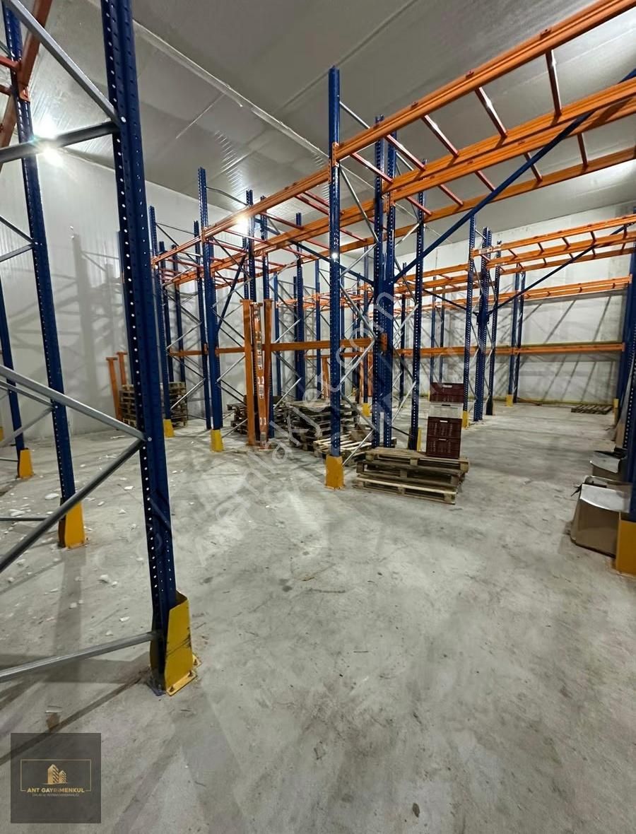 Altınovada 380m2 Kiralık -18 +4 Soğuk Hava Deposu - Görsel 13