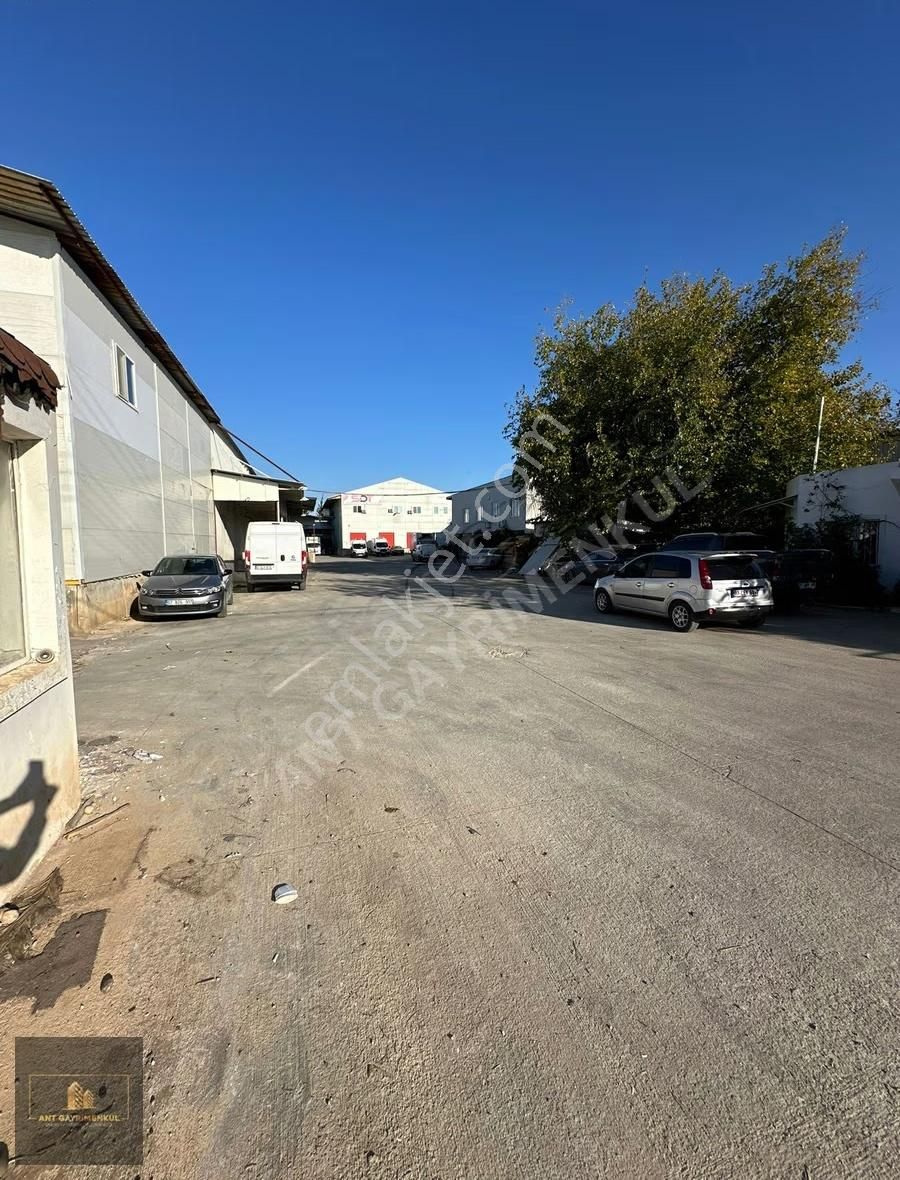 Altınovada 380m2 Kiralık -18 +4 Soğuk Hava Deposu - Görsel 4