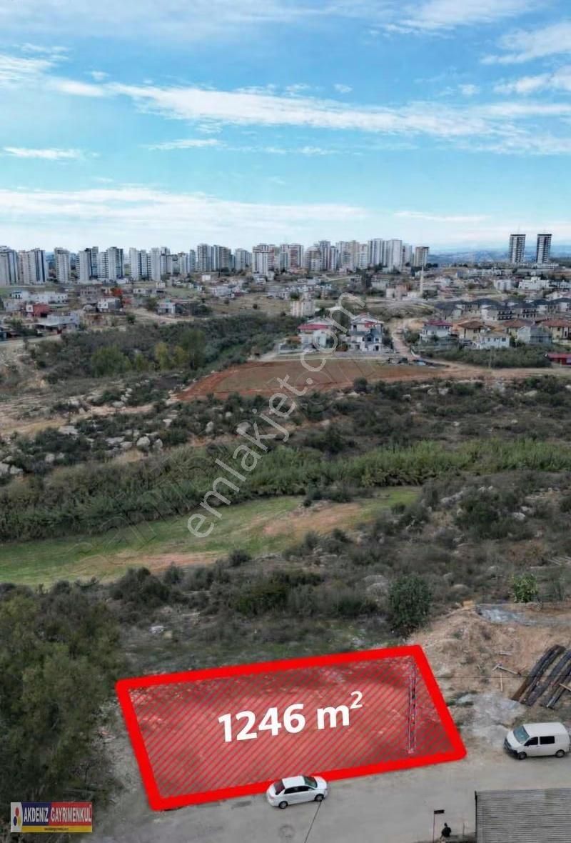 Merkezi Konumda Köşe Başı 1.246 M2 Villalık Arsa - Görsel 2