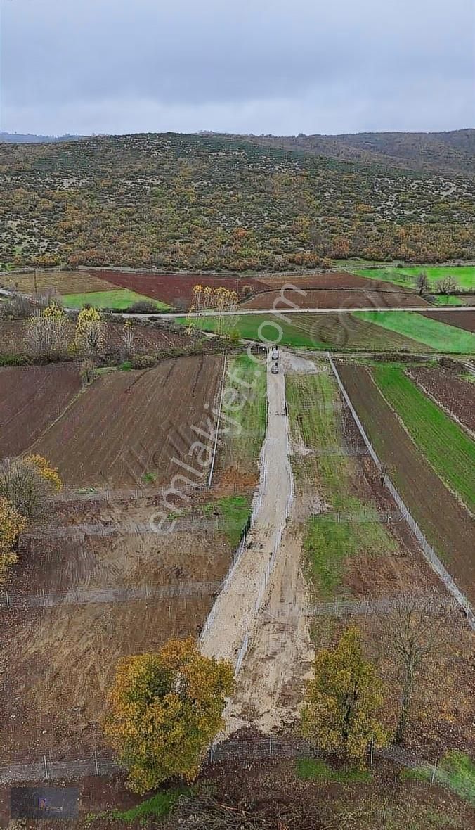 Yenişehir Akbıyık Da Satılık Tapulu Hobi Bahçeleri - Görsel 18
