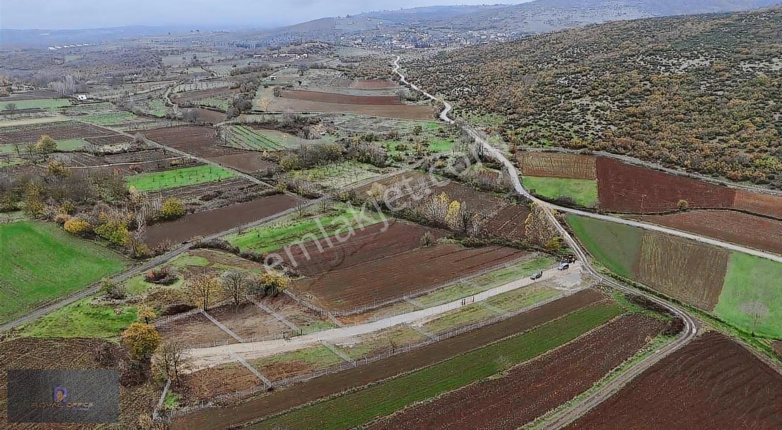 Yenişehir Akbıyık Da Satılık Tapulu Hobi Bahçeleri - Görsel 4