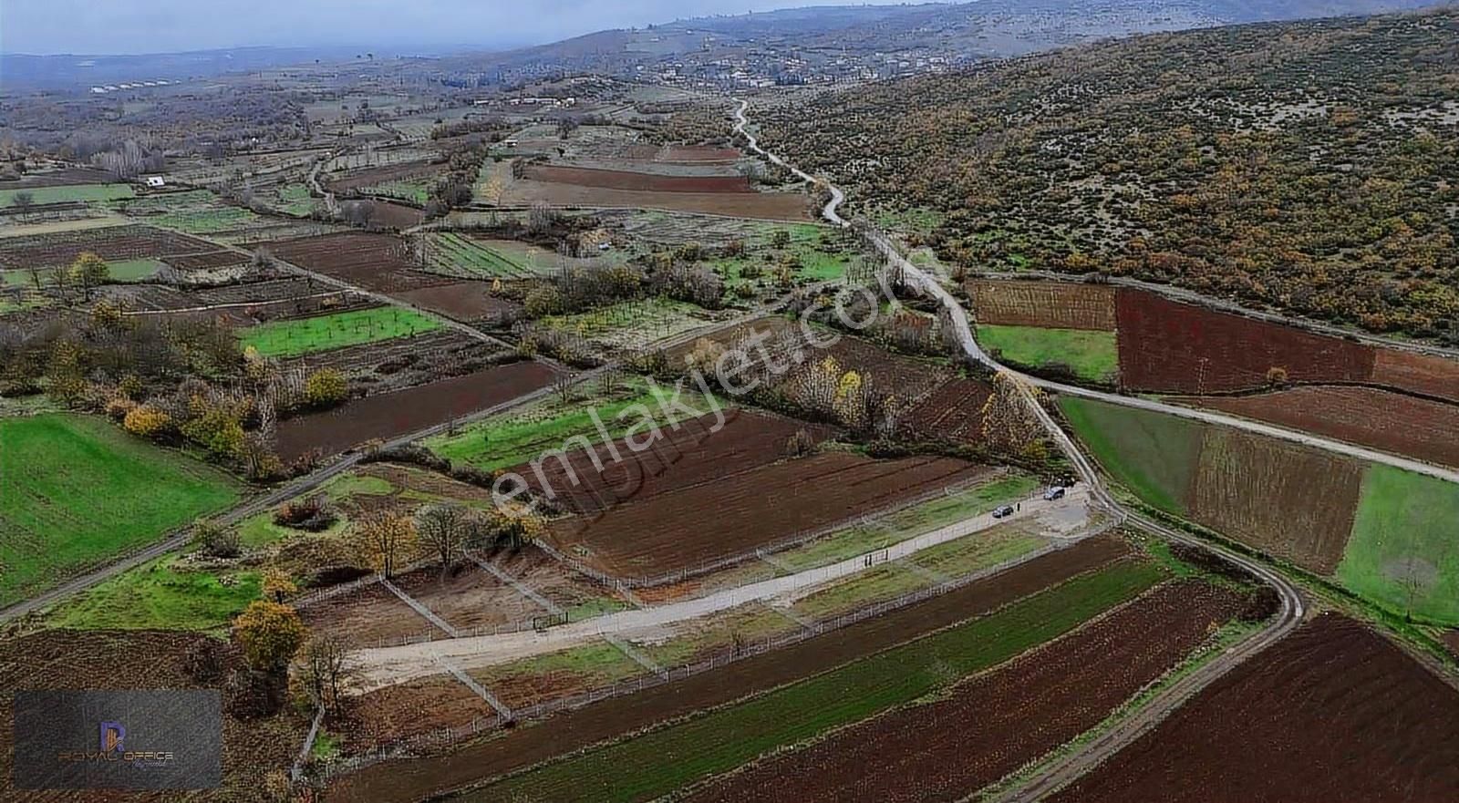 Yenişehir Akbıyık Da Satılık Tapulu Hobi Bahçeleri - Görsel 17