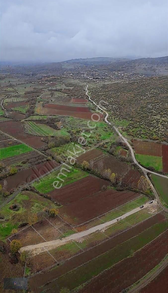 Yenişehir Akbıyık Da Satılık Tapulu Hobi Bahçeleri - Görsel 15