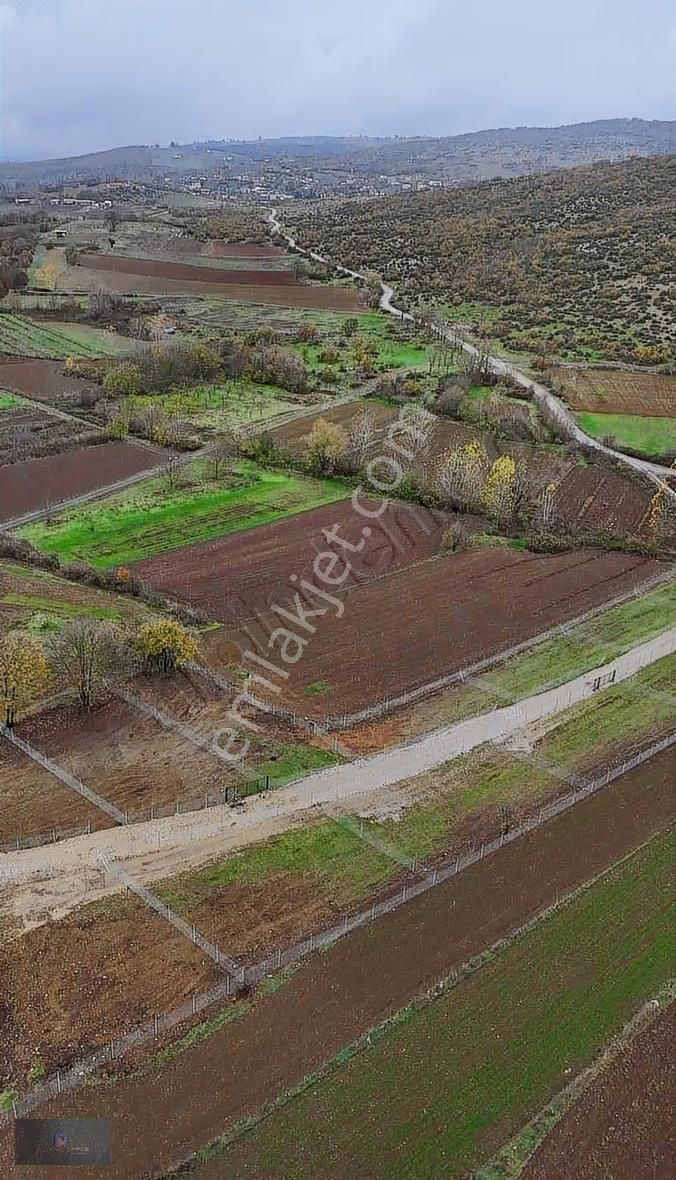 Yenişehir Akbıyık Da Satılık Tapulu Hobi Bahçeleri - Görsel 6