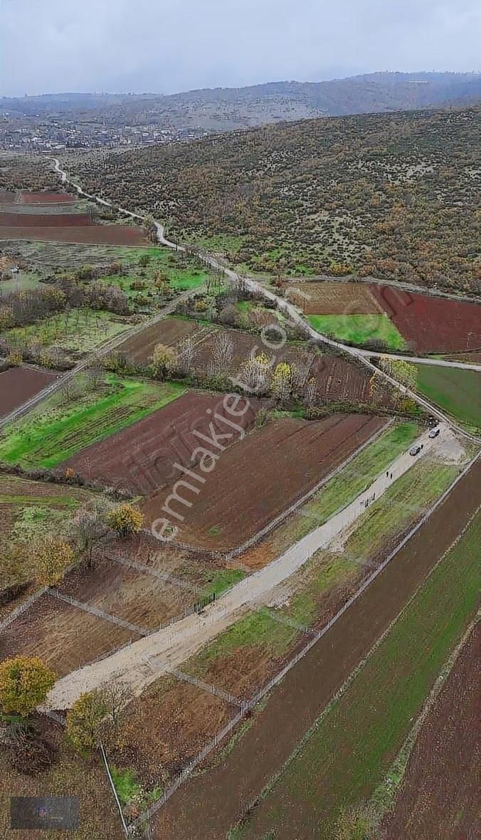 Yenişehir Akbıyık Da Satılık Tapulu Hobi Bahçeleri - Görsel 10