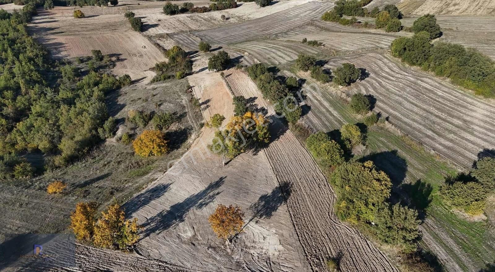 Royal Office | Yenişehir Toprakdere 305 M2 Hobi Bahçesi - Görsel 11