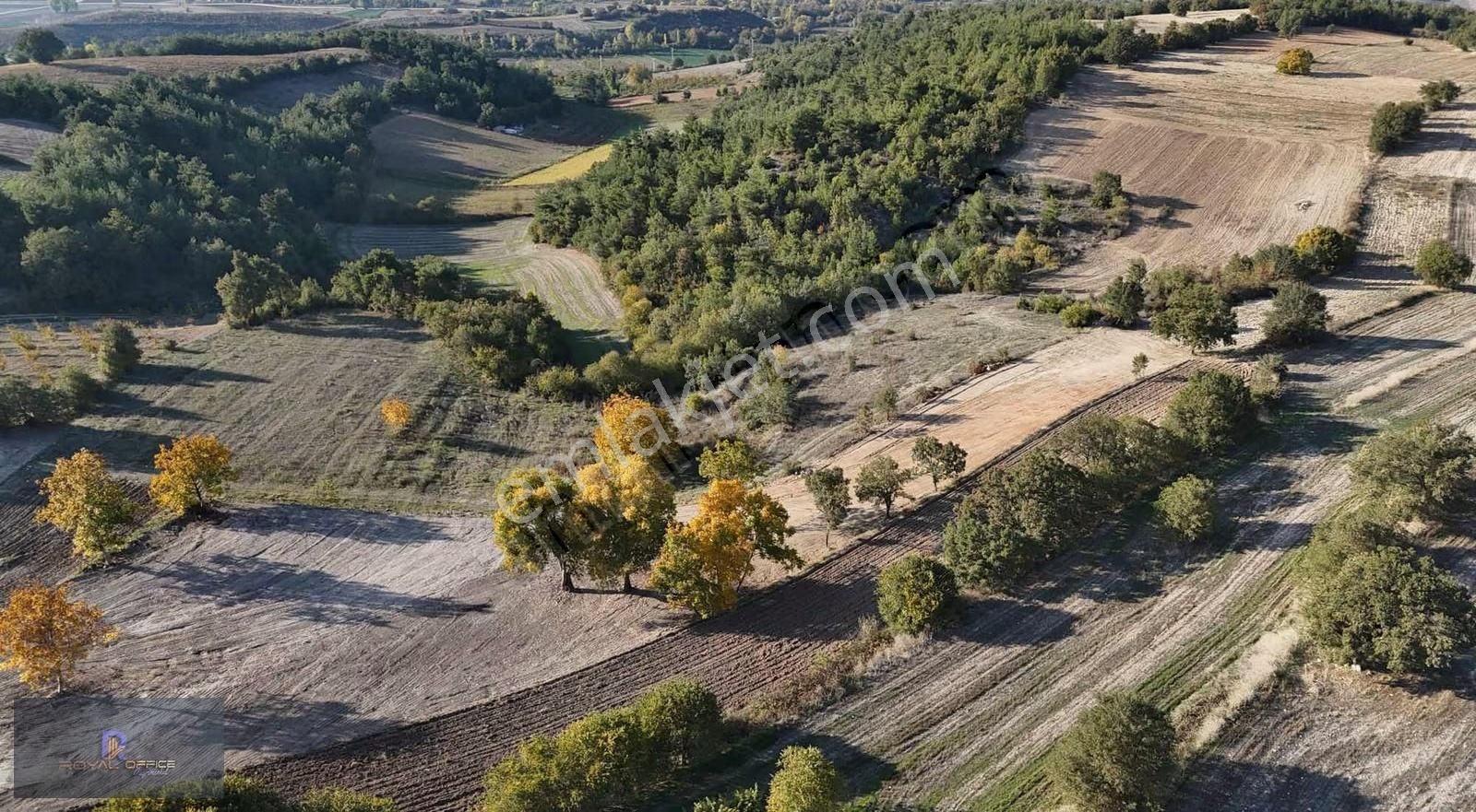 Royal Office | Yenişehir Toprakdere 305 M2 Hobi Bahçesi - Görsel 4