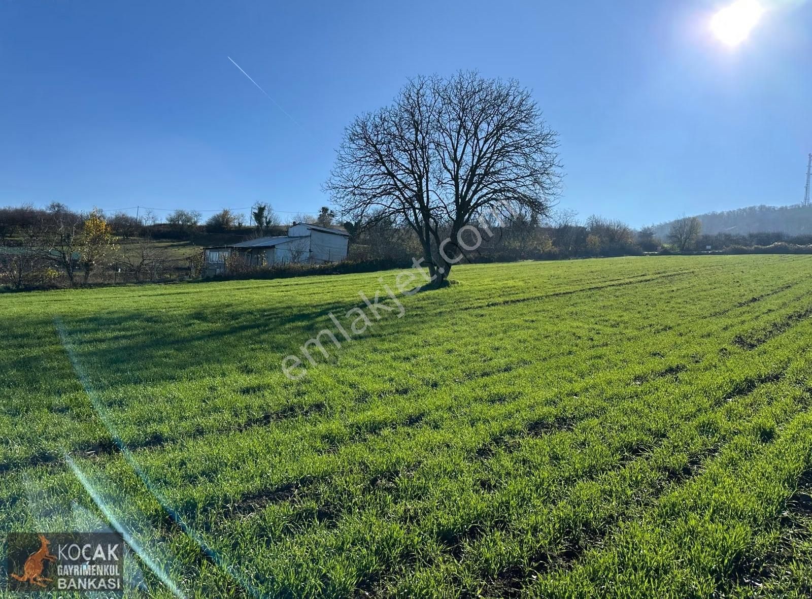 Harika Doğa Ve Göl Manzarasıyla Köy İmar Sınırımda 5628m2 Arazi - Görsel 29