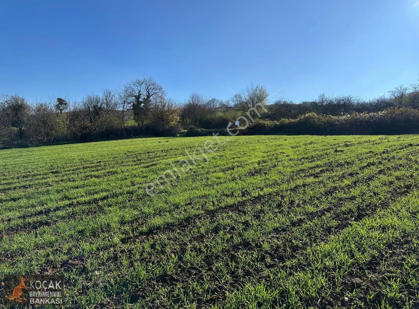 Harika Doğa Ve Göl Manzarasıyla Köy İmar Sınırımda 5628m2 Arazi - Görsel 31