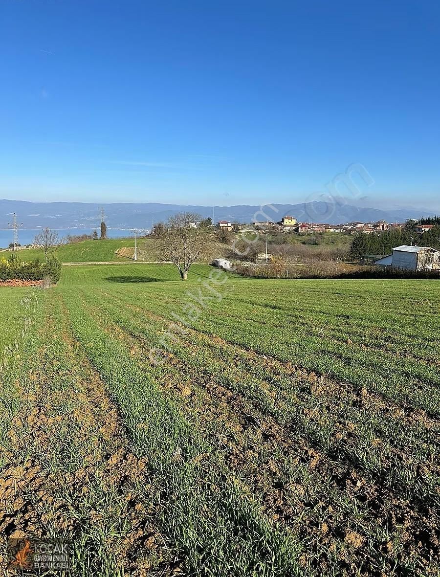 Harika Doğa Ve Göl Manzarasıyla Köy İmar Sınırımda 5628m2 Arazi - Görsel 26