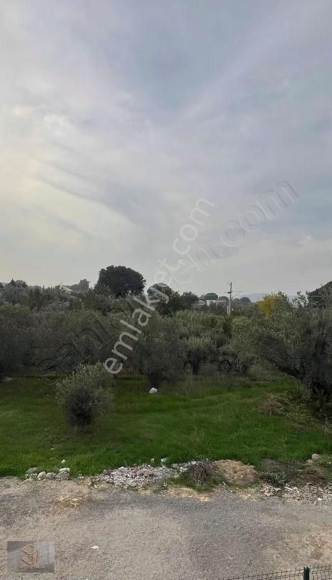 Emiralem Merkezde Satılık Villa - Görsel 12