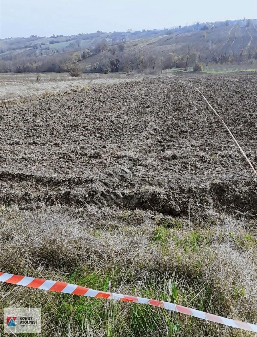 Kandıra Şerefsungur'da 2.424 Mt2 Caddeye Sıfır Satılık Arsa - Görsel 4