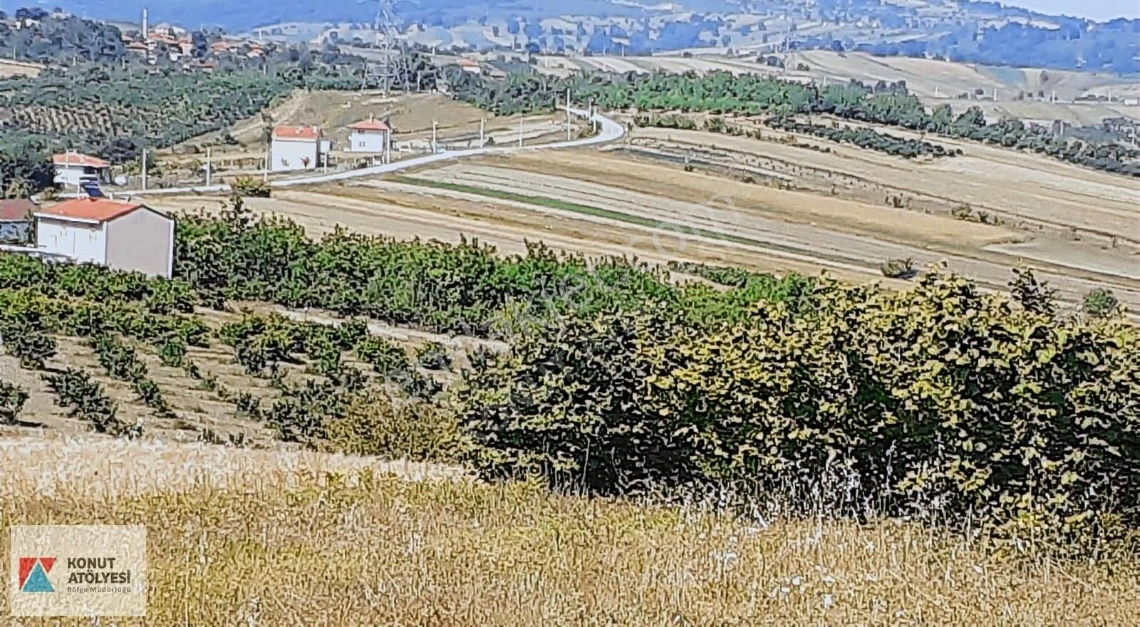 Kandıra Şerefsungur'da 2.424 Mt2 Caddeye Sıfır Satılık Arsa - Görsel 2