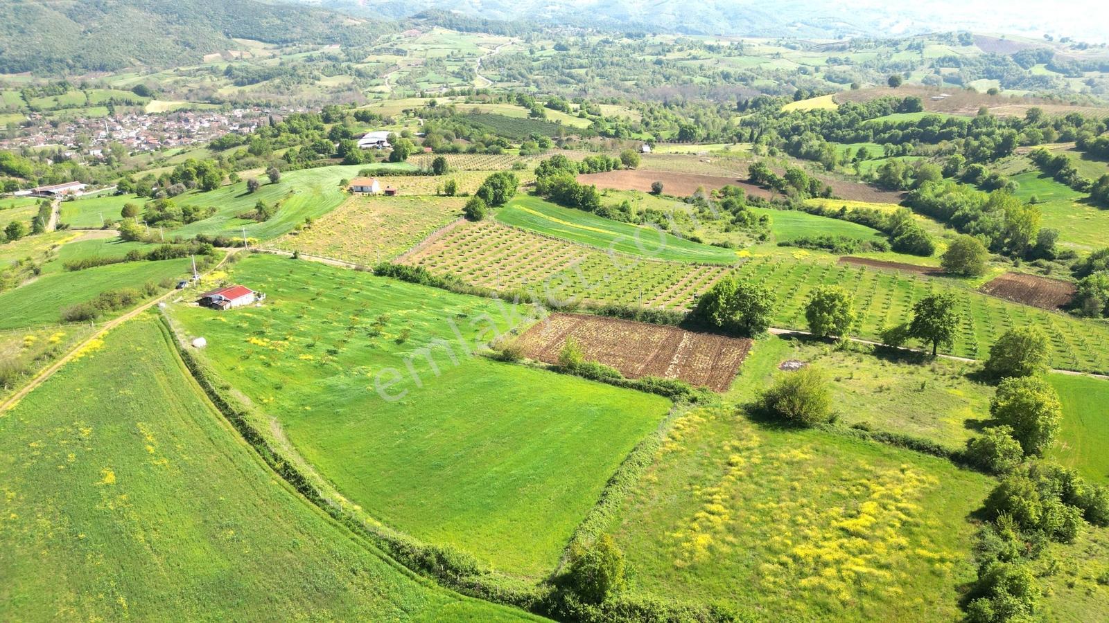 Kocaeli Karamürsel Yalakdere 13,442 M2 Tarla İçinde Evi Olan - Görsel 24