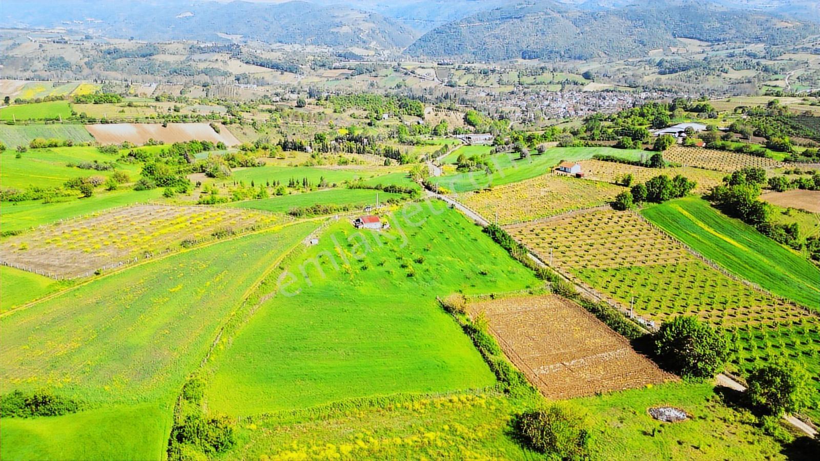 Kocaeli Karamürsel Yalakdere 13,442 M2 Tarla İçinde Evi Olan - Görsel 26