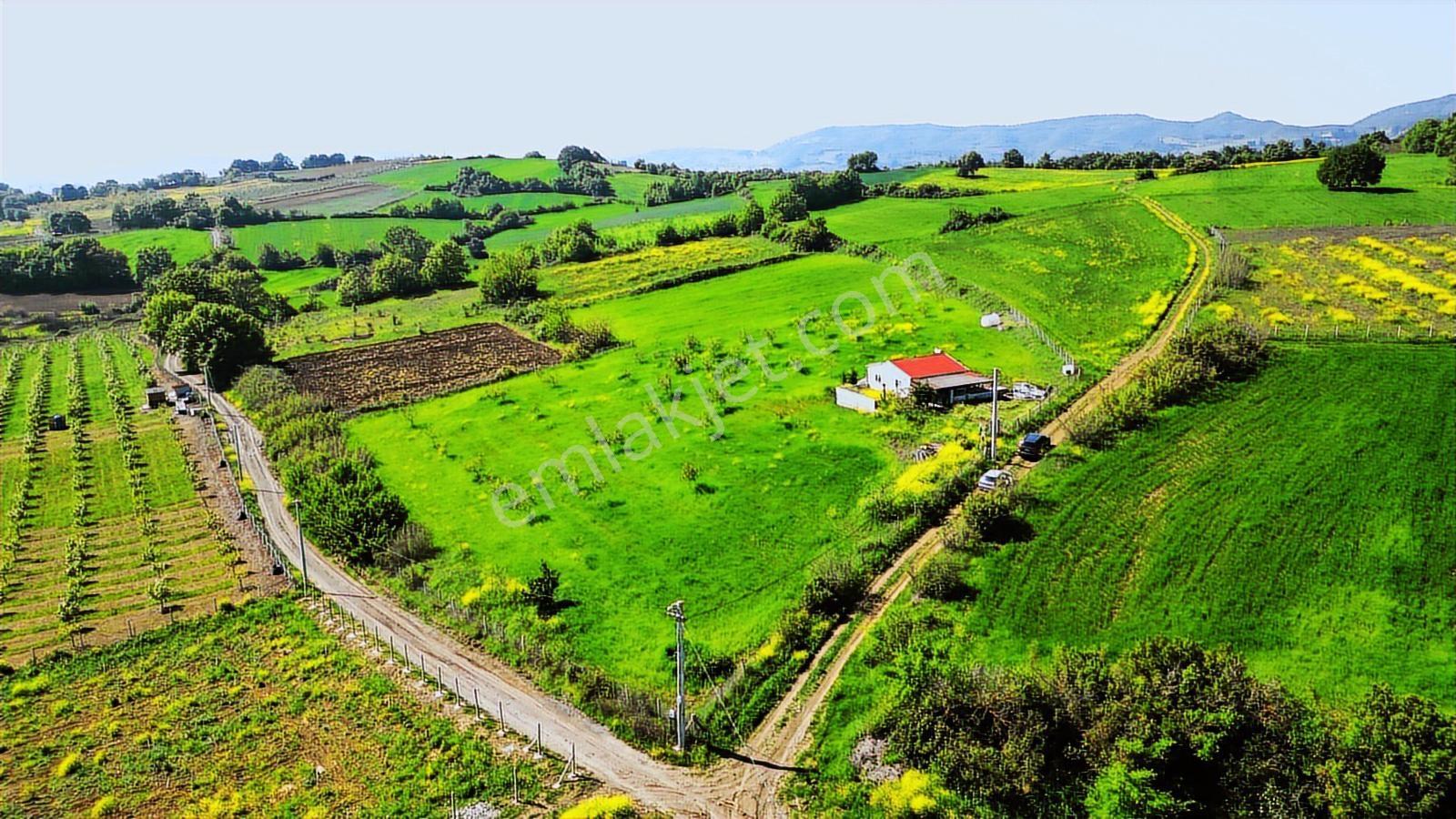 Kocaeli Karamürsel Yalakdere 13,442 M2 Tarla İçinde Evi Olan - Görsel 23